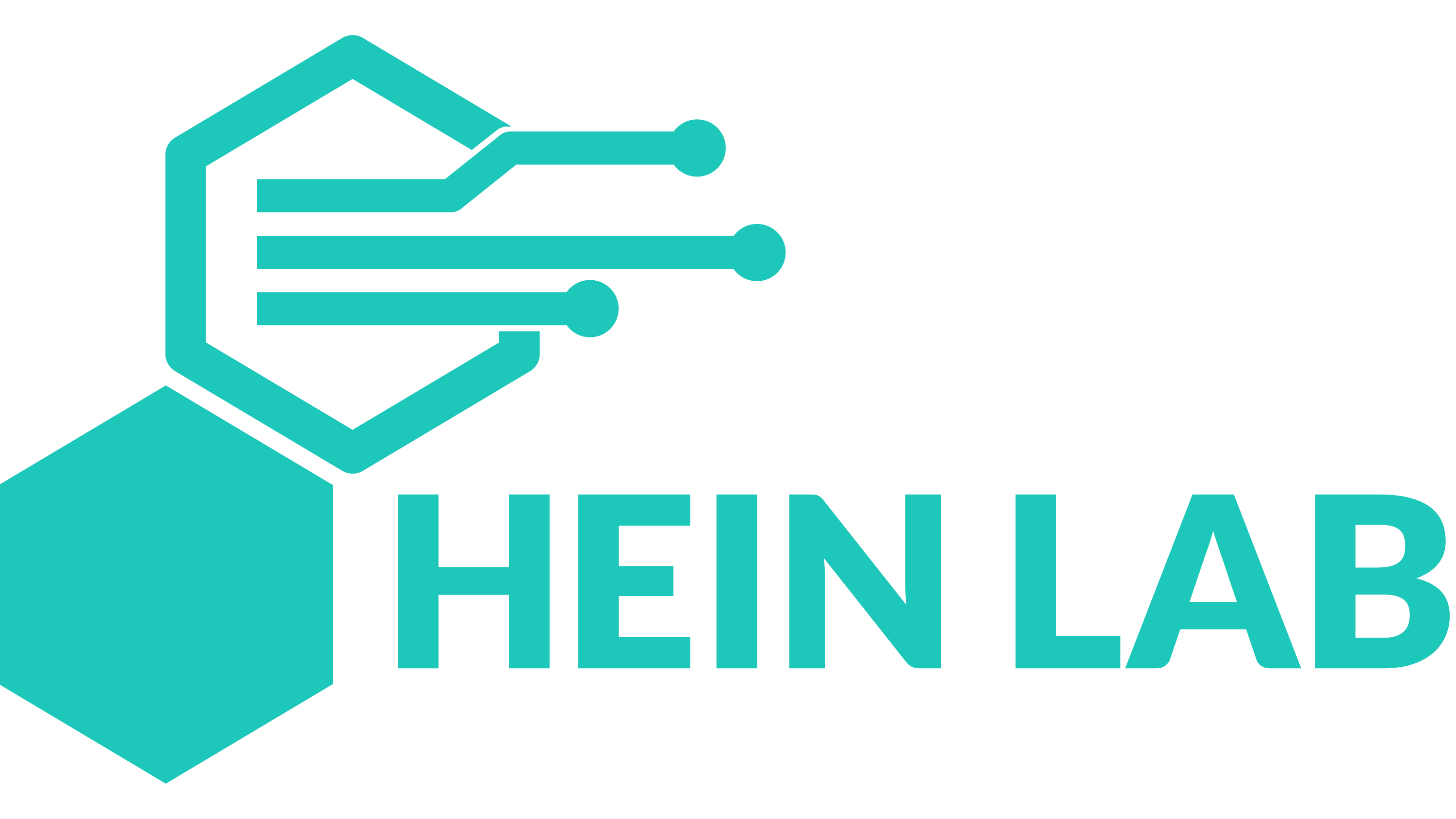Hein Lab Logo